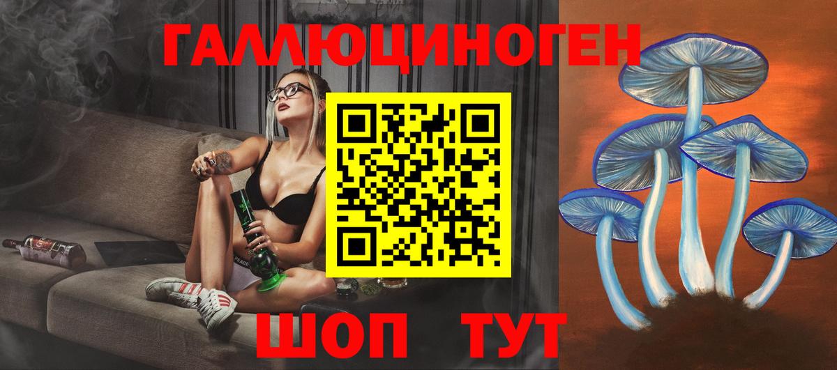 Галлюциногенные грибы Psilocybine cubensis Вышний Волочёк