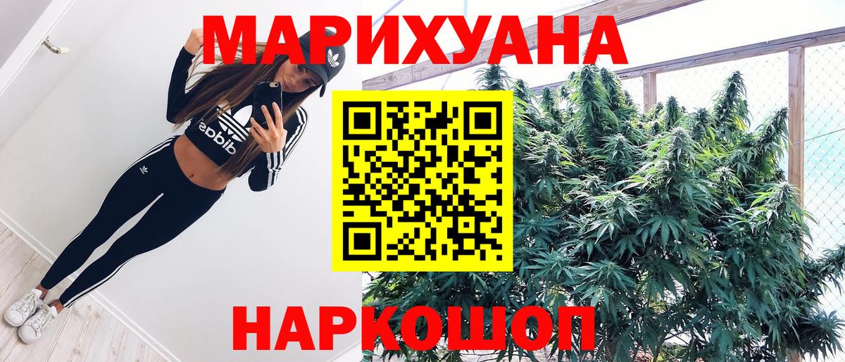 Канабис планчик Вышний Волочёк